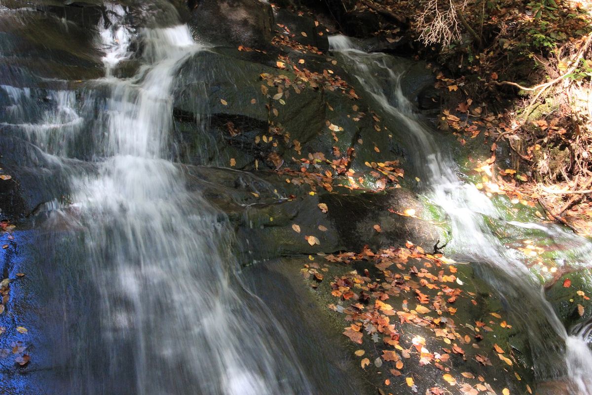 Fall Branch Falls tumbling over dark rock with fallen autumn leaves